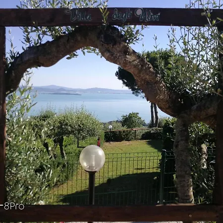 Degli Ulivi Trasimeno *
