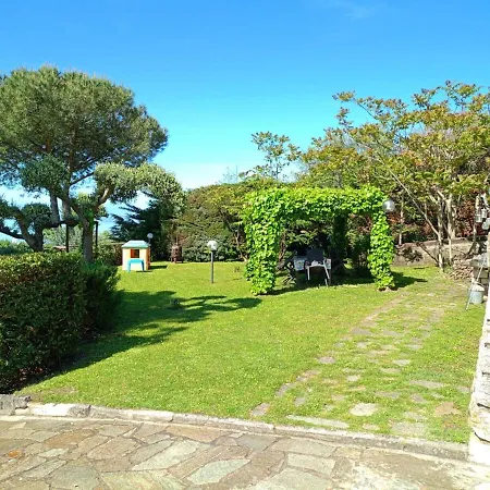 Degli Ulivi Trasimeno *