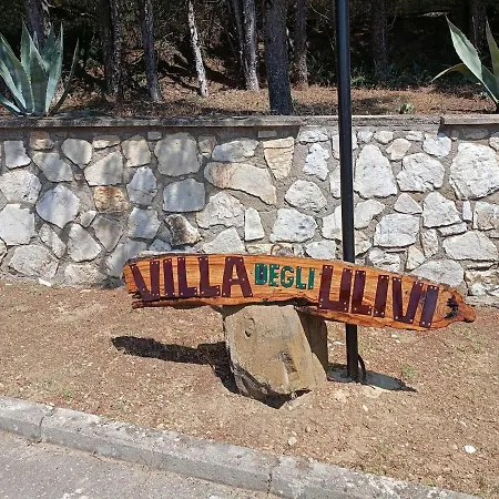 Degli Ulivi Trasimeno
