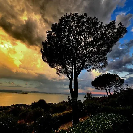 Degli Ulivi Trasimeno Passignano sul Trasimeno