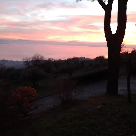 Degli Ulivi Trasimeno