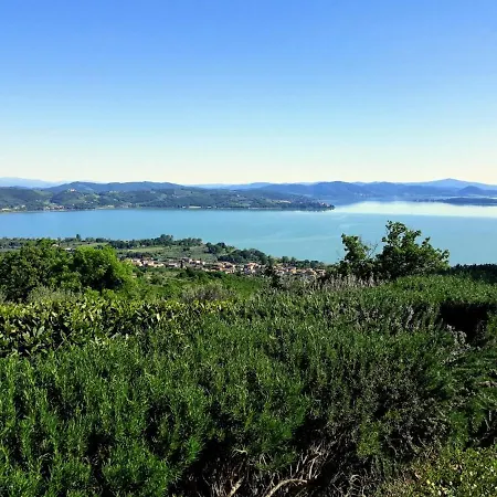 Casa vacanze Degli Ulivi Trasimeno